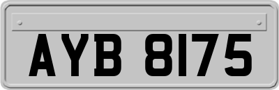 AYB8175