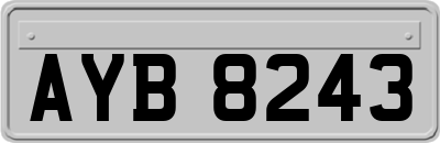 AYB8243