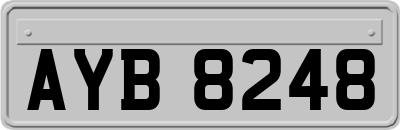 AYB8248