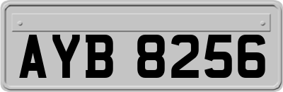 AYB8256