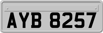 AYB8257