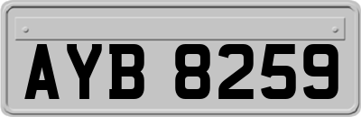 AYB8259