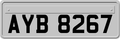AYB8267