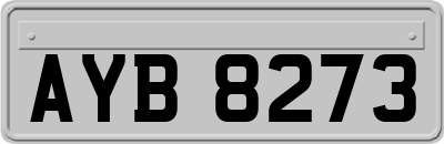 AYB8273