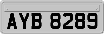 AYB8289