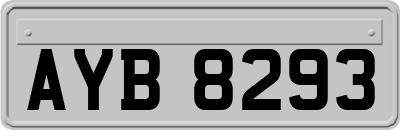 AYB8293