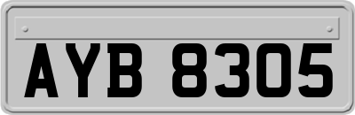 AYB8305