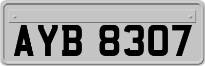 AYB8307