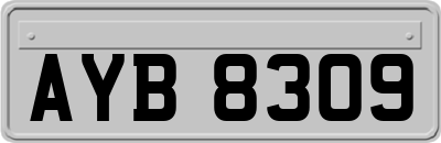 AYB8309