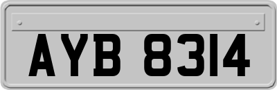 AYB8314