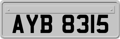 AYB8315
