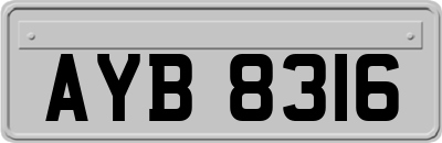AYB8316