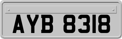 AYB8318