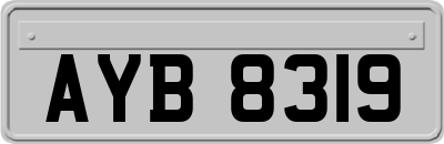 AYB8319