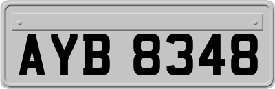 AYB8348