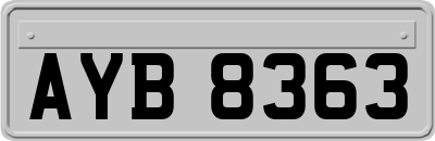 AYB8363