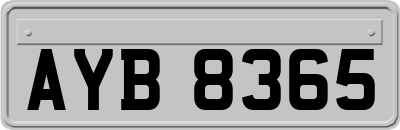 AYB8365