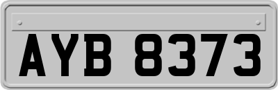 AYB8373