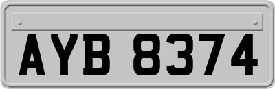 AYB8374