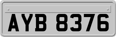 AYB8376