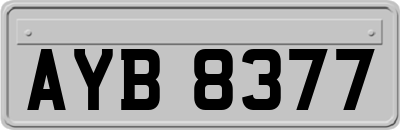AYB8377