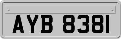 AYB8381