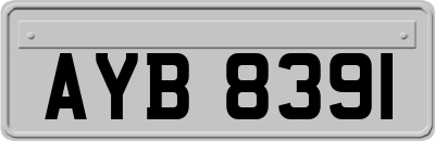 AYB8391