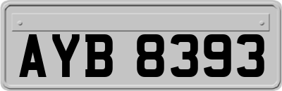 AYB8393