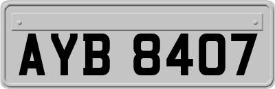 AYB8407