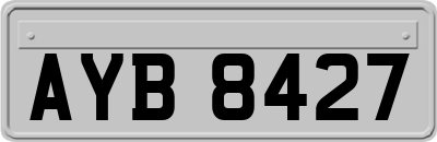 AYB8427