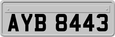 AYB8443