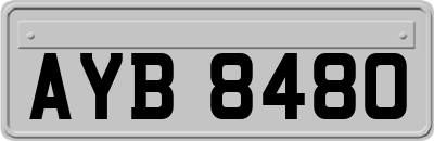 AYB8480