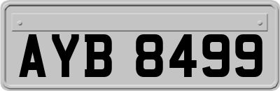AYB8499
