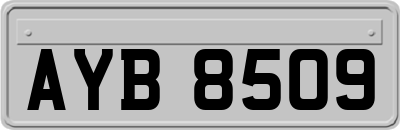 AYB8509