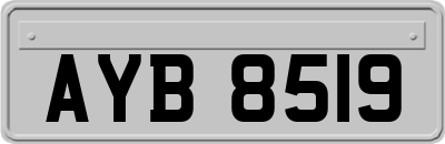 AYB8519