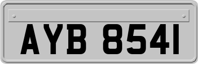 AYB8541