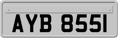 AYB8551