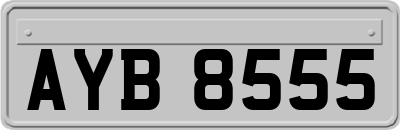 AYB8555