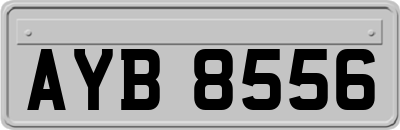 AYB8556