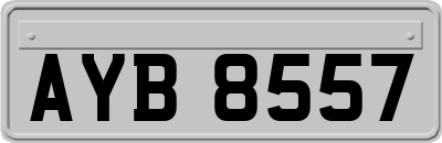 AYB8557