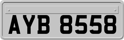 AYB8558