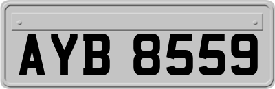 AYB8559