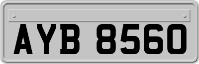 AYB8560