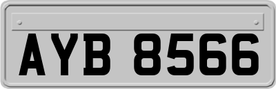 AYB8566