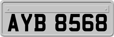 AYB8568
