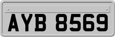 AYB8569