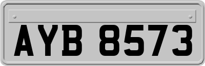 AYB8573