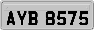 AYB8575