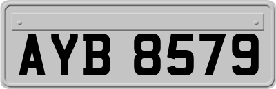 AYB8579
