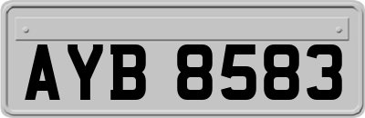 AYB8583